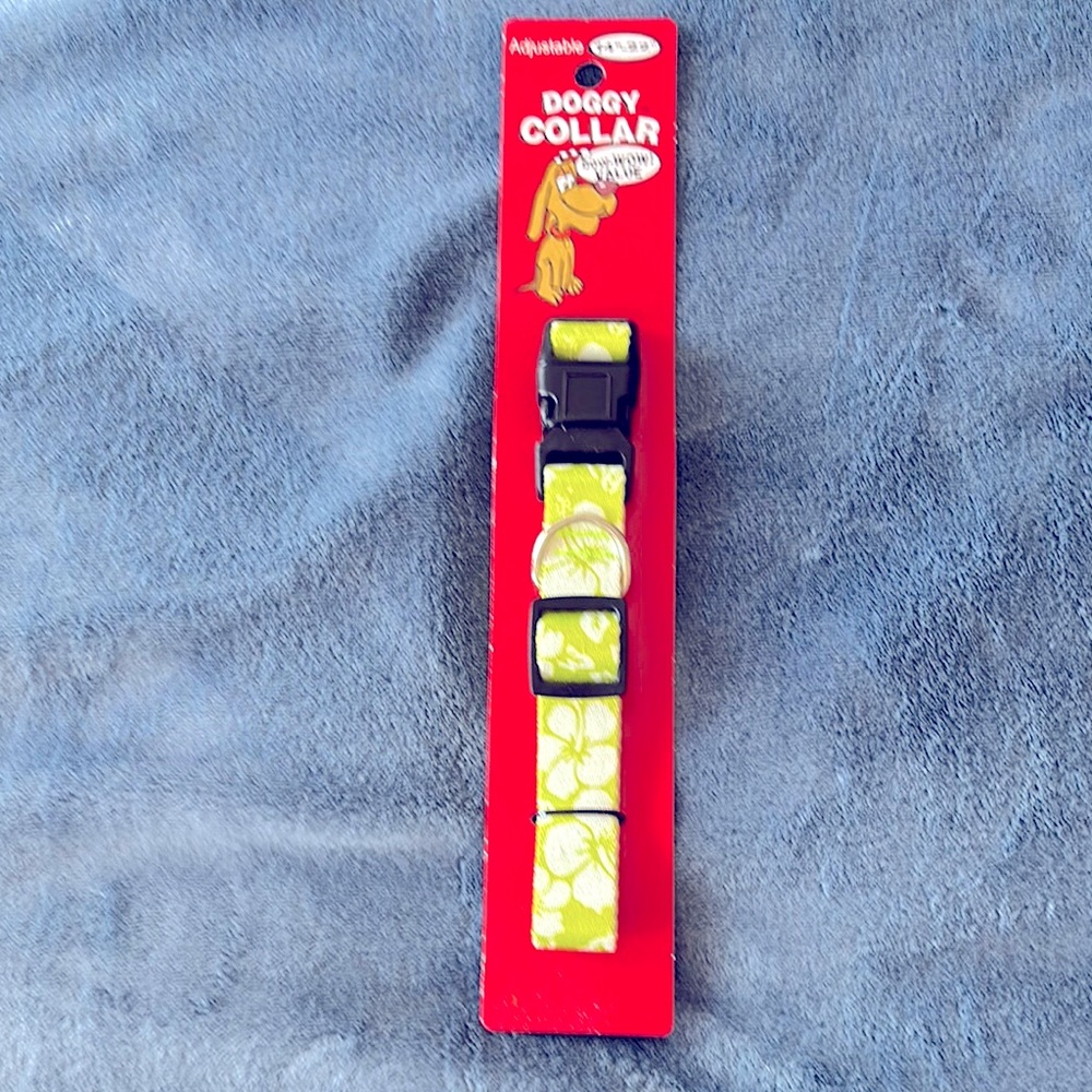 Vibrant  Adjustable Dog Collar